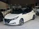 Nissan Leaf 2020