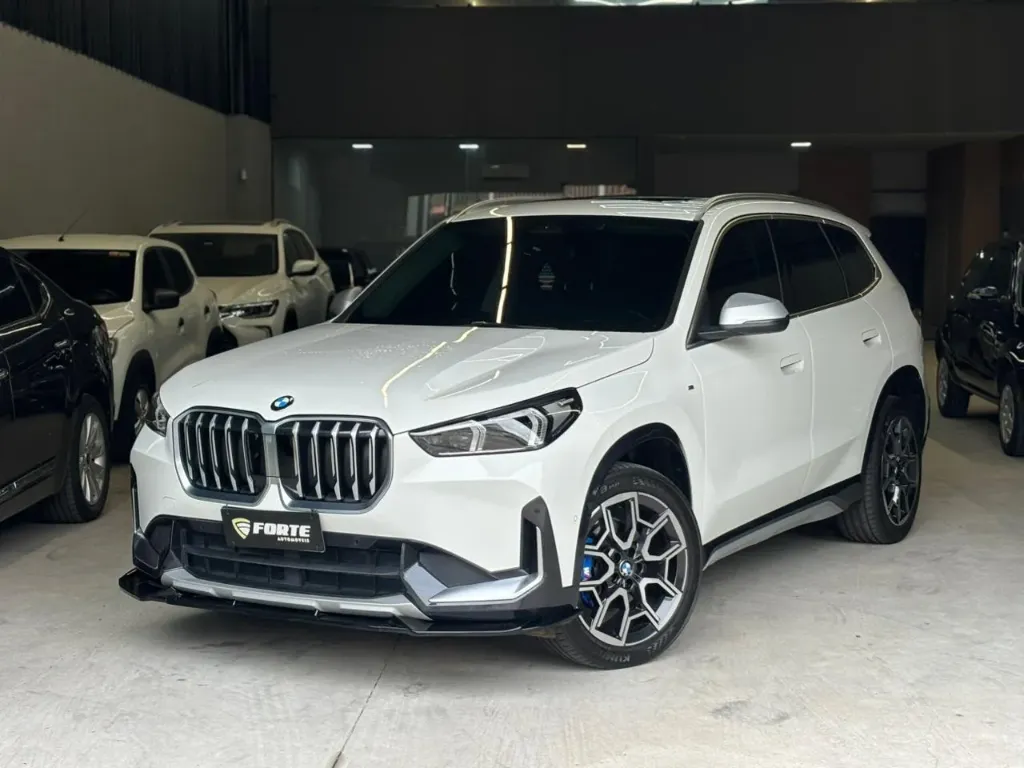 Bmw X1 Sdrive 20I X-line